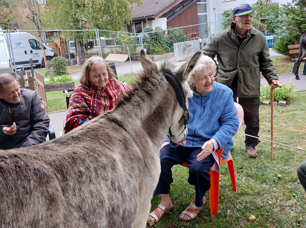 Médiation animale à l'EHPAD Griboulard
