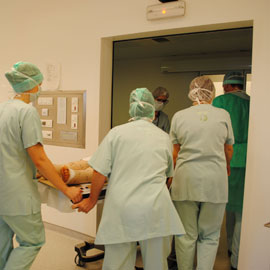 Orthopédie - Traumatologie
